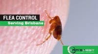 Sams Flea Control Brisbane image 2